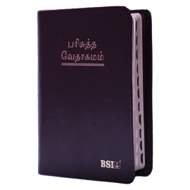 Bible (Korean - O.V.25- Pilot - Tamil)